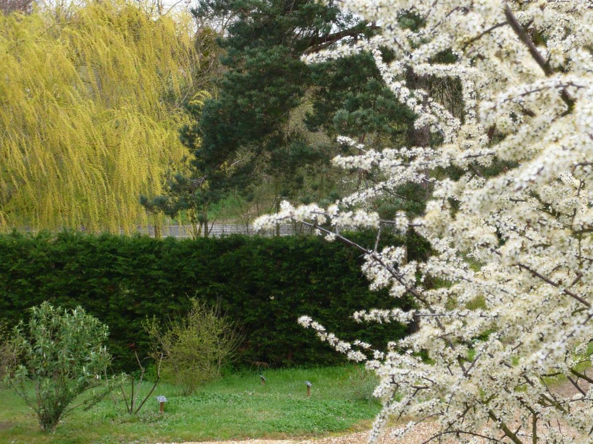 Gite Les Jardins De Terrefort Saumur Kültér fotó